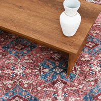 The Scarlet Path Rug